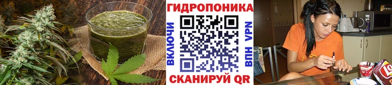 Cannafood марихуана  Карабаново 