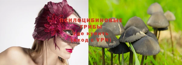 сатива Абаза