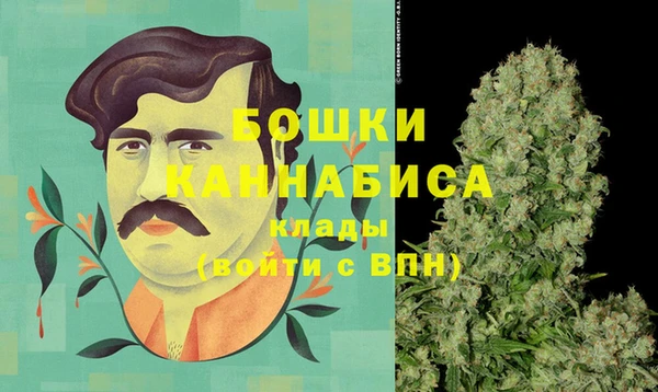 сатива Абаза