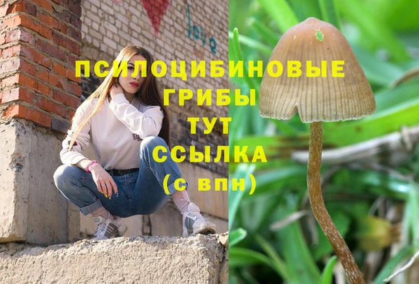 сатива Абаза