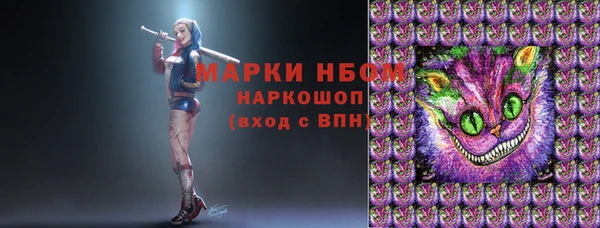 сатива Абаза