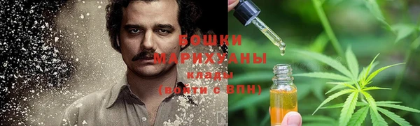 сатива Абаза